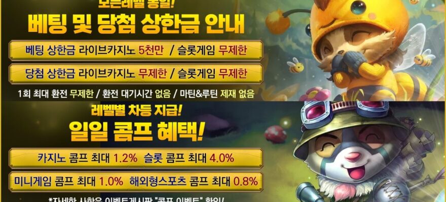 티모카지노 1 티모카지노