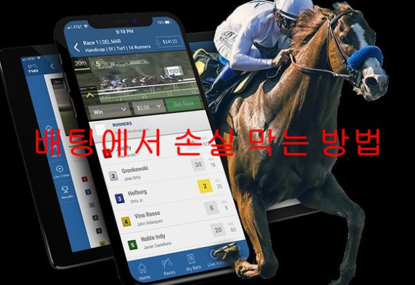 스포츠 배팅에서 큰 손실을 막는 노하우